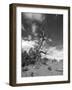 Witness of Time-Martina Roth Kunst-Foto-Design-Framed Photographic Print