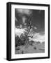 Witness of Time-Martina Roth Kunst-Foto-Design-Framed Photographic Print