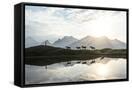 Canvas Black