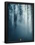 Essential Black
