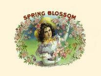 Spring Blossom-Witsch & Schmitt Lihto.-Art Print