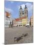 Wittenberg, UNESCO World Heritage Site, Saxony, Germany, Europe-Michael Runkel-Mounted Photographic Print