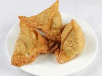 Samosas-WITTY-Photographic Print