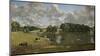 Wivenhoe Park, Essex 1816-John Constable-Mounted Premium Giclee Print