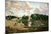 Wivenhoe Park, Essex, 1816-John Constable-Mounted Giclee Print