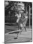 Wives of Men in the US Army and Navy Playing Shuffleboard-Peter Stackpole-Mounted Photographic Print