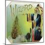 Wizard Brand Cigar Box Label-Lantern Press-Mounted Art Print