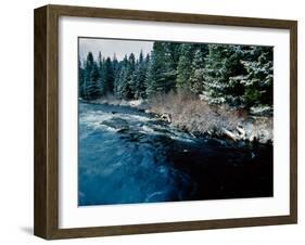 Wizard Falls on the Metolius River, Deschutes National Forest, Oregon, USA-null-Framed Photographic Print