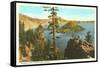 Wizard Island, Crater Lake, Oregon-null-Framed Stretched Canvas