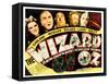 Wizard of Oz, Judy Garland, Frank Morgan, Ray Bolger, Bert Lahr, Jack Haley, 1939-null-Framed Stretched Canvas