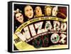 Wizard of Oz, Judy Garland, Frank Morgan, Ray Bolger, Bert Lahr, Jack Haley, 1939-null-Framed Stretched Canvas