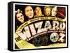 Wizard of Oz, Judy Garland, Frank Morgan, Ray Bolger, Bert Lahr, Jack Haley, 1939-null-Framed Stretched Canvas