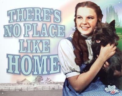 Wizard Of Oz Dorothy metal sign 300mm x 200mm sf