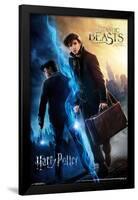 Wizarding World- Harry Potter & Fantastic Beasts-null-Framed Poster