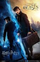 Wizarding World- Harry Potter & Fantastic Beasts-null-Lamina Framed Poster