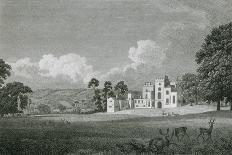 Powderham Castle, Devon-WM Craig-Art Print