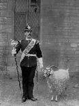 The Drum Major and Goat of the 1st Battalion the Welch Regiment, 1896-WM Crockett-Laminated Giclee Print