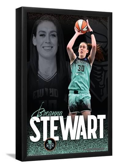 Poster, , large