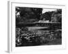 Woburn Abbey Dairy-Fred Musto-Framed Photographic Print