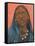 Wodaabe Woman I-Jacob Green-Framed Stretched Canvas