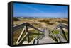 Wodden Path in the Dunes, Amrum Island, Northern Frisia, Schleswig-Holstein, Germany-Sabine Lubenow-Framed Stretched Canvas