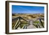 Wodden Path in the Dunes, Amrum Island, Northern Frisia, Schleswig-Holstein, Germany-Sabine Lubenow-Framed Photographic Print