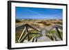 Wodden Path in the Dunes, Amrum Island, Northern Frisia, Schleswig-Holstein, Germany-Sabine Lubenow-Framed Photographic Print