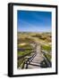 Wodden Path in the Dunes, Amrum Island, Northern Frisia, Schleswig-Holstein, Germany-Sabine Lubenow-Framed Photographic Print