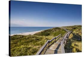 Wodden Path in the Dunes, Wenningstedt, Sylt Island, Northern Frisia, Schleswig-Holstein, Germany-Sabine Lubenow-Stretched Canvas