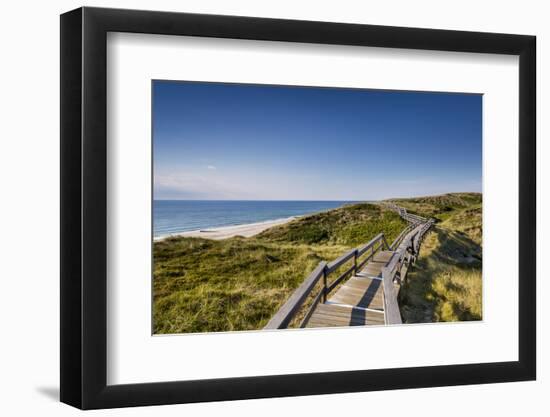 Wodden Path in the Dunes, Wenningstedt, Sylt Island, Northern Frisia, Schleswig-Holstein, Germany-Sabine Lubenow-Framed Photographic Print