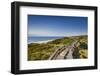 Wodden Path in the Dunes, Wenningstedt, Sylt Island, Northern Frisia, Schleswig-Holstein, Germany-Sabine Lubenow-Framed Photographic Print