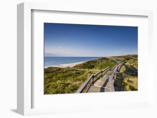 Wodden Path in the Dunes, Wenningstedt, Sylt Island, Northern Frisia, Schleswig-Holstein, Germany-Sabine Lubenow-Framed Photographic Print