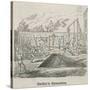 Woelker's Gymnastics-George Cruikshank-Stretched Canvas