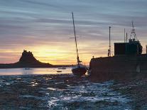 Lindisfarne at Sunrise, Holy Island, Northumberland, England, United Kingdom, Europe-Wogan David-Photographic Print