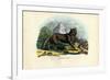 Wolf, 1863-79-Raimundo Petraroja-Framed Giclee Print