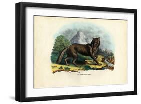 Wolf, 1863-79-Raimundo Petraroja-Framed Giclee Print