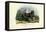 Wolf, 1863-79-Raimundo Petraroja-Framed Stretched Canvas