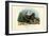 Wolf, 1863-79-Raimundo Petraroja-Framed Premium Giclee Print
