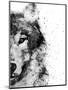 Wolf At Attention-Brandon Wong-Mounted Art Print