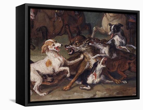 Wolf Attacked by Hounds, Wolf Hunting, Oil Sketch, C.1720-23-François Desportes-Framed Stretched Canvas