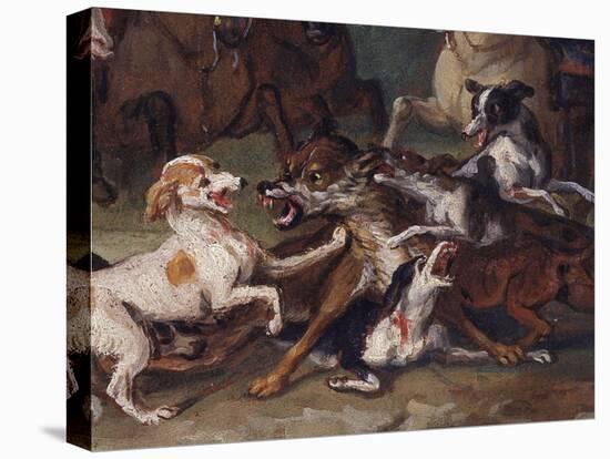 Wolf Attacked by Hounds, Wolf Hunting, Oil Sketch, C.1720-23-François Desportes-Stretched Canvas
