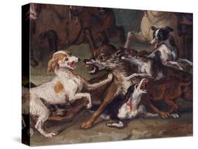 Wolf Attacked by Hounds, Wolf Hunting, Oil Sketch, C.1720-23-François Desportes-Stretched Canvas