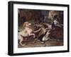Wolf Attacked by Hounds, Wolf Hunting, Oil Sketch, C.1720-23-François Desportes-Framed Giclee Print