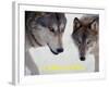 Wolf (Canis Lupus)-Steve Kazlowski-Framed Art Print