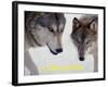 Wolf (Canis Lupus)-Steve Kazlowski-Framed Art Print