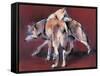 Wolf Composition, 2001-Mark Adlington-Framed Stretched Canvas