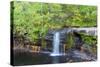 Wolf Creek Falls-Wolterk-Stretched Canvas