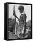 Wolf Cub Scout Gathering at Hyde Park-null-Framed Stretched Canvas