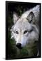 Wolf Face-Lantern Press-Framed Art Print