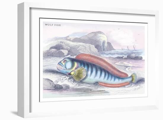 Wolf Fish-Robert Hamilton-Framed Art Print